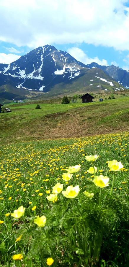 Lacknerhof Oberperfuss Luaran gambar